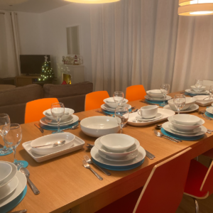 Dinner party for 10 people at Christmas time