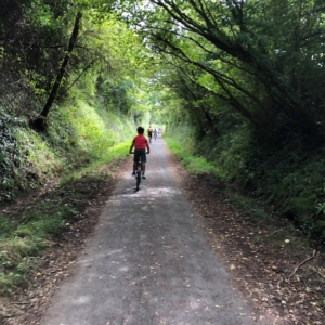 Cycling on the nearby Tarka Trail